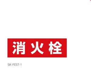 _hz[NGCg SK-FEST-1 ΐ\V[g (Va)