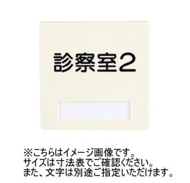 神栄ホームクリエイト(新協和) SK-PSS-2F 室名札(平付型) アイボリー(白/ライトグレー変更可) UV印刷 スライド脱着式 受注生産