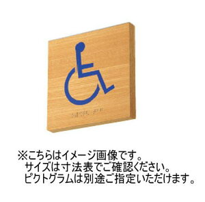 _hz[NGCg(Va) SK-WS-1TEN ؐ_TCv[g(t^) UV 󒍐Y