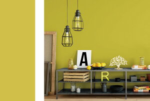 erH JK4561 \Ă͂Ă̂c肵Ȃǎ n }X^[h 45cm×250cm(799177) 4529715330784