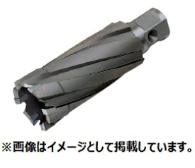 大見工業 35SQクリンキーカッター 刃径：19.0mm CCSQ190