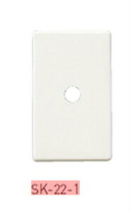 Va EN[[pCT[gti SK-22-1 1@p _hz[NGCg