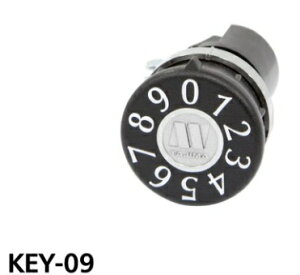 R[\jA SONIA IvV KEY Serise KEY-09 _CFÉ^Cv