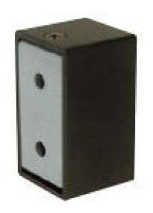 cG[X ACE (224-287) ppCvLbv 40×20 uX