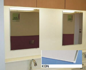 ���c�G�[�X ACE (169-502) SUS���� KAGAN KGN4590K��