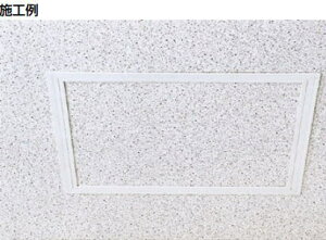 cG[X ACE (421-471) r_g T^Cv T-095N T9N30