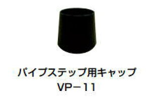 cG[X ACE (241-769) pCvXebvpLbv VP-11