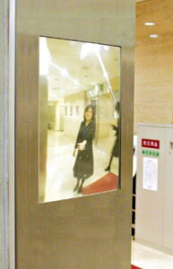 cG[X ACE (691-257) FF~[EVEiCj EVL16CT Gx[^[Og/p