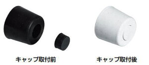 cG[X ACE (246-391) S˓ 2^