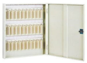 cG[X ACE (161-013) GXL[{bNX FI-30