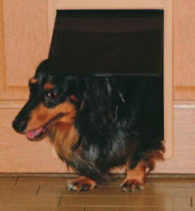 I PD-250 MB uE ybghA