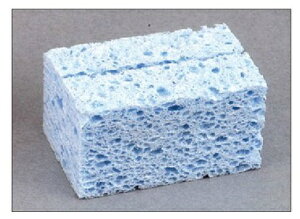 TAJIMA ^W} SUM-NWAT nڗpږ