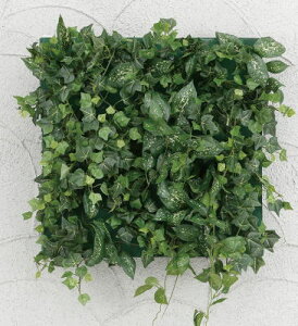 ^JV[ GD-203C (33169700) ǖʃAWC ~jACr[ 30×30cm