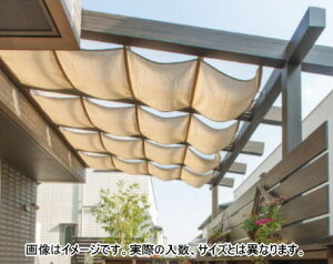 ^JV[ (79750900) VvVF[h Ɨpi|[`K[fpj 1.56 ThXg[ ^ls