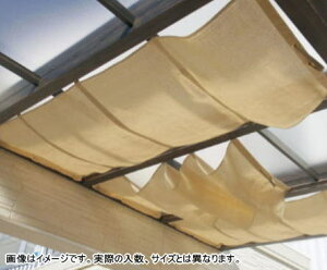 ^JV[ (79761500) VvVF[h 1.5×6 ThXg[ ^ls