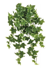 ^JV[ GN-25W I_ACr[ (lHϗtA) 21680200