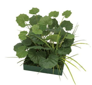 タカショー GD-222 33344800 山里セット ツワブキ 室内用人工植物