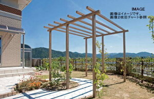 ^JV[ SPW-36CW Xg[gp[S_u 3SP NVbNzCg ^ls