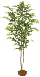 ^JV[ GD-69 PL  ^ls