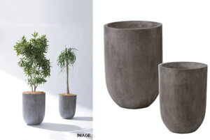 �^�J�V���[ SAV-P04L LOOP ���[�v �� �������^�l��s��