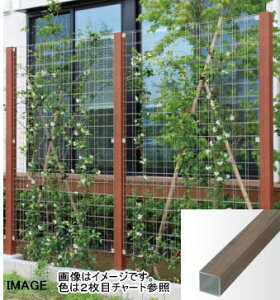 ^JV[ gbVtFXp 75p iH1900pj ubNG{j[ ^ls