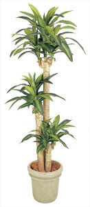 ^JV[ GD-149 hZi K̖ 1.2m lHA lHϗtA ^ls