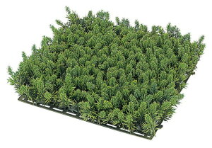 ^JV[ GN-21 XMSPZbg G} lHA (󒍐Yi) ^ls