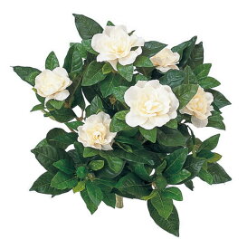 楽天市場 造花 種類 植物 クチナシ 花 観葉植物 花 ガーデン Diy の通販 楽天市場 造花 種類 植物 クチナシ 花 観葉植物 花 ガーデン Diy の通販