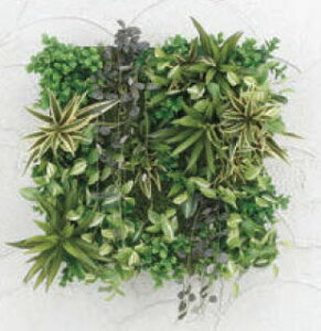 ^JV[ GD-201AF 33532900 ǖʃAW AZbg̃t[t