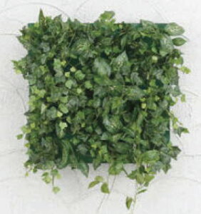 ^JV[ GD-201CF 33534300 ǖʃAW CZbg̃t[t