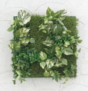 ^JV[ GD-201DF 33535000 ǖʃAW DZbg̃t[t