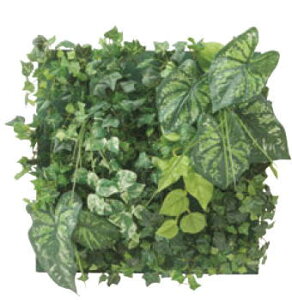 ^JV[ GD-201FF 33537401 ǖʃAW FZbg̃t[t G}