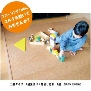 RN zgbp[RN O^Cv 4ӌ؂i؂t 4 2760×1860mmj [J[