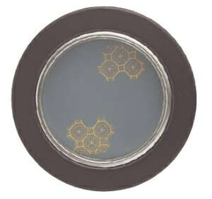 TUKIESU cLGX ʈ S-310  V  ʎփm Tb 1