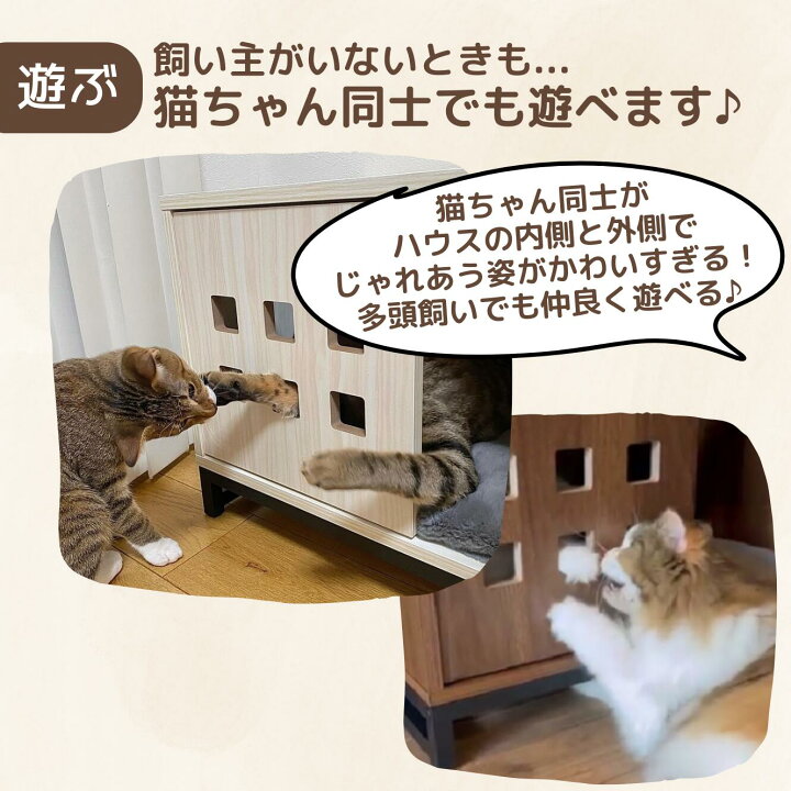 楽天市場】500円オフ+P10%バック！ 猫ハウス 猫箱 キャットハウス 