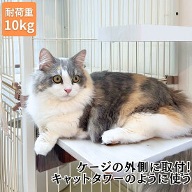 猫 ケージ ステップ 猫ステップ板 ieneko 猫ケージ専用 スリムタイプ 横幅35cm 奥行20cm