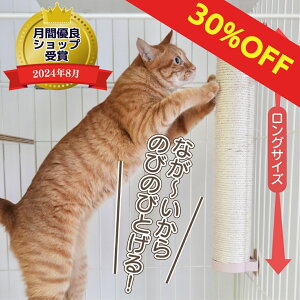 L ܂Ƃ  P[Wt ȒP Hsv O c^ ߂Ƃ XgX ^s v  O  傫 LP[W WF  i` ieneko ˂ CGlR