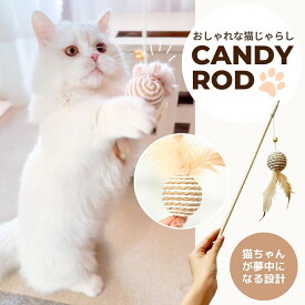 猫おもちゃ 猫用おもちゃ 猫のおもちゃ キャットトイ 棒付きおもちゃ 猫じゃらし 1,000円ポッキリ ieneko いえねこ イエネコ キャンディロッド