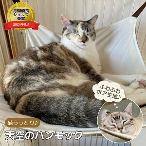 L nbN P[W 10kg 2Cȏ̂ 炩{An xA  I[V[Y o[Vu  􂦂 @OK  ieneko ˂ CGlR ṼnbN