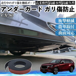 }c_ CX-80 A_[K[h Kh~ A_[veN^[ op[K[h GAK[h [ B ienobenrikan