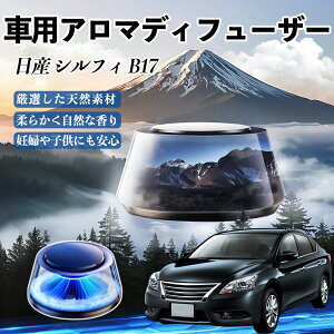 Y VtB B17  F [dA}fBt[U[ 8F͋CCg 3{t 2025V^ L CF  ienobenrikan