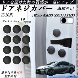 IS 30系 ASE30 GSE30 AVE30 ネジカバー ビス保護カバー 錆防止ネジカバー カードアネジ保護キャップ 錆防止 水防止 12個セット WeCar