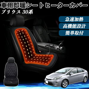 g^ vEX 30n  V[gq[^[ q[^[tJo[ t g 2iKx 12V Mpbh ۉ Yh~ ienobenrikan