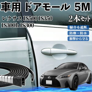 NTX IS500 IS350 IS300h IS300  hA[ hAGbW[ hAK[h veN^[ U^ h~ ی ጸ 5M 2{Zbg ienobenrikan
