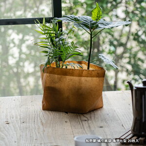 쉮 X Tb^ 7^ 20 { bNXy[p[ [