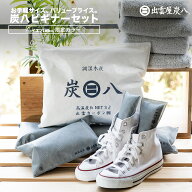 【炭八レビュー特典あります】炭八 湿気取り 除湿 脱臭 消臭 除湿対策 湿気対策 室内 靴 くつ 臭い 繰り…