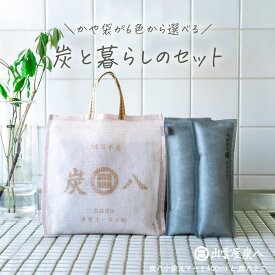 【炭八レビュー特典あります】炭八 スマート小袋 400ml 炭八 ミニ 湿気取り 除湿 脱臭 消臭 除湿対策 湿気対策 梅雨対策 室内 子供部屋 ギフト 2026 湿気とり 繰り返し プチギフト ハンガー 吊り下げ 下駄箱 靴 車 玄関 日本製 正規店