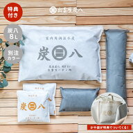 【炭八レビュー特典あります】炭八 湿気取り 除湿 脱臭 消臭 除湿対策 湿気対策 トライアル8Lセット2 お…