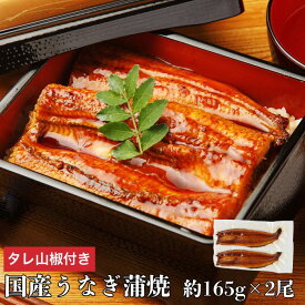 国産うなぎ ギフト 鰻 ウナギ うなぎ 国産 165g× 2尾 冷凍 うなぎ蒲焼 ウナギ蒲焼 鰻蒲焼 うなぎ蒲焼き 鰻蒲焼き 冷凍うなぎ うなぎ国産 2匹 国産ウナギのかば焼き 肉厚 美味しい 国産うなぎ蒲焼 うなぎの蒲焼 鰻のかば焼き 国産鰻 うなぎ茶漬け 鰻ギフト 誕生日 うなぎ通販