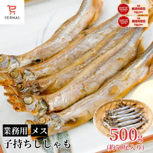  VV q 500g(50)  X ig ֗ȃo  Mtg ̓ ̓  j  ̂V[Ή